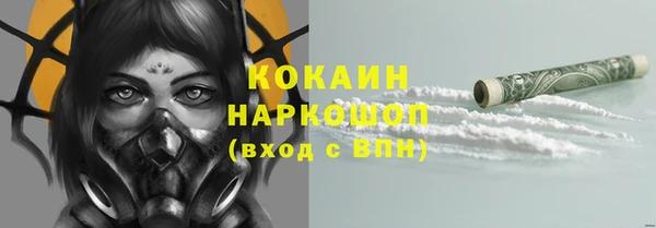 гидропоника Карталы