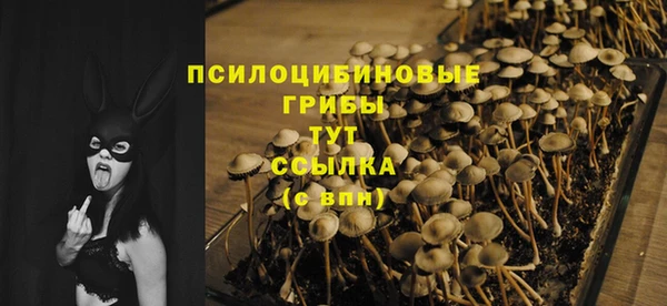 синтетический гашиш Карпинск