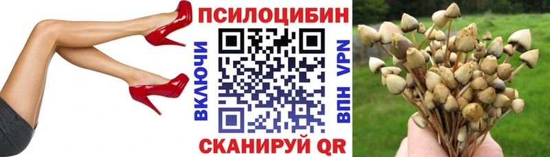 Галлюциногенные грибы ЛСД  Купить закладки  Завитинск 