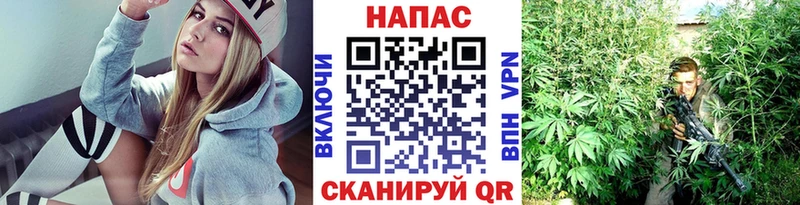 Бошки Шишки Ganja  Купить закладки  Завитинск 